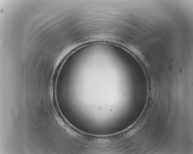 X0000056000888200508261747