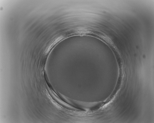 X0000056000889200508261747