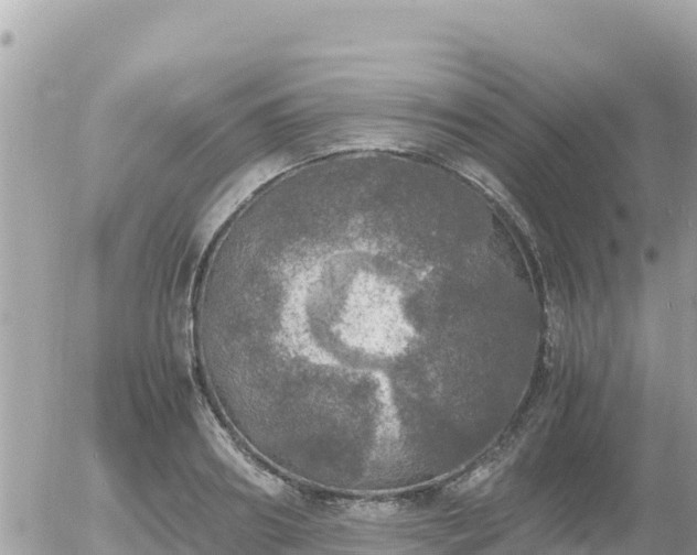 X0000056000890200508261747