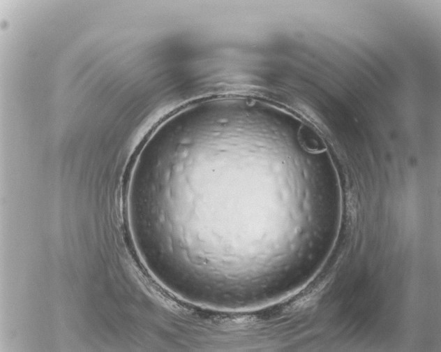 X0000056000891200508261747