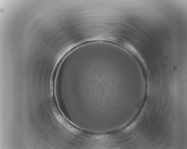 X0000056000892200508261747