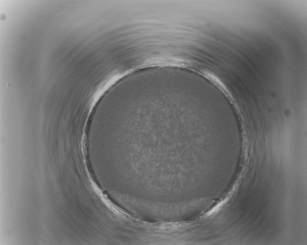 X0000056000893200508261747