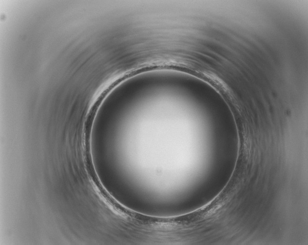 X0000056000894200508261747