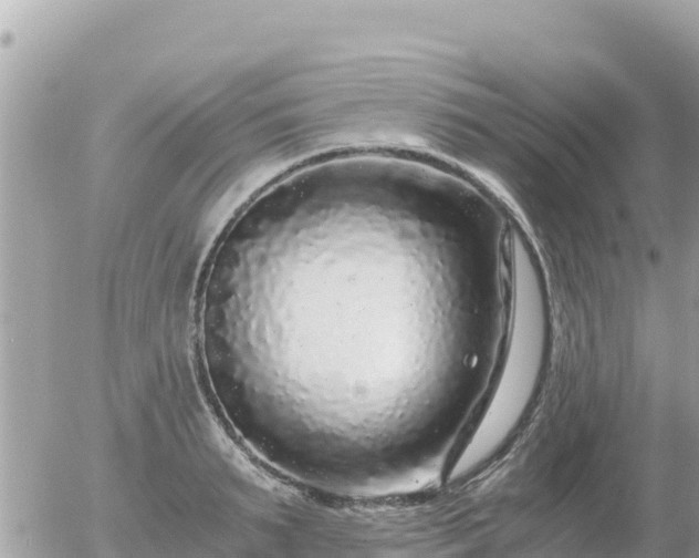 X0000056000895200508261747