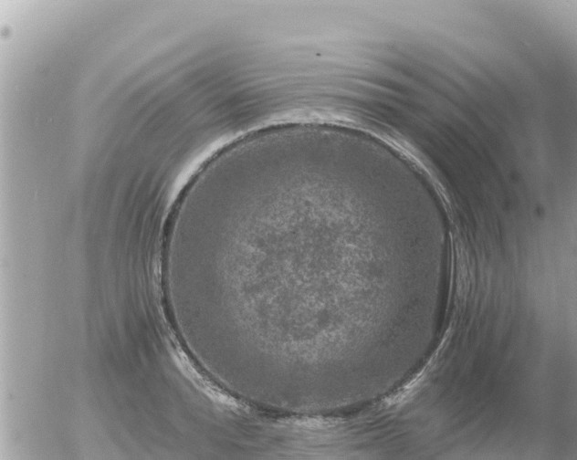 X0000056000896200508261747