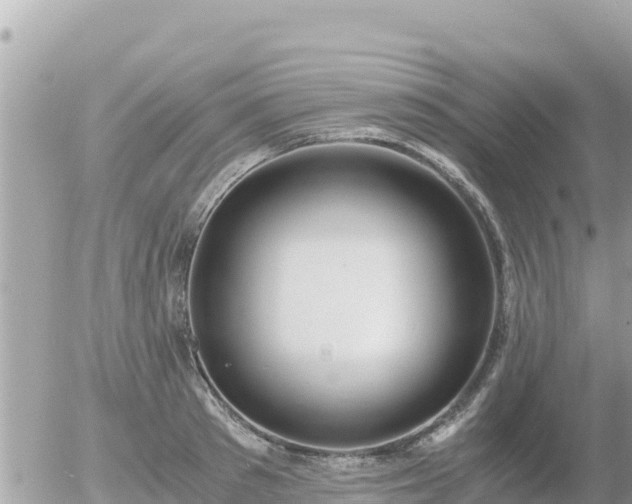 X0000056000897200508261747