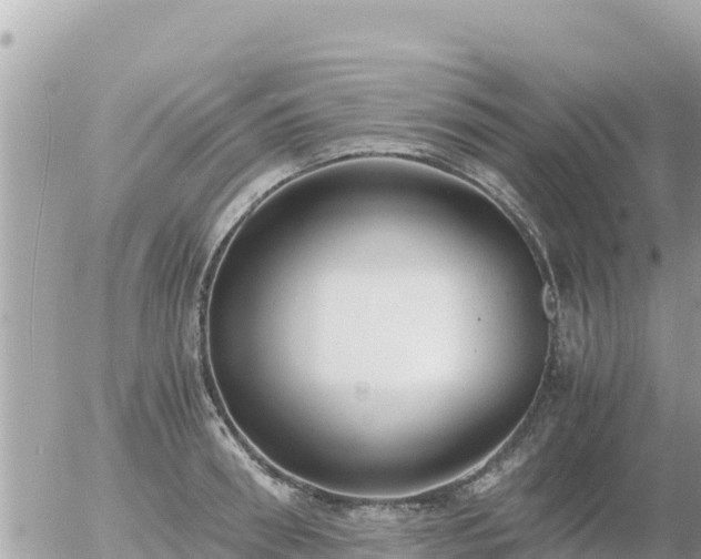 X0000056000898200508261747