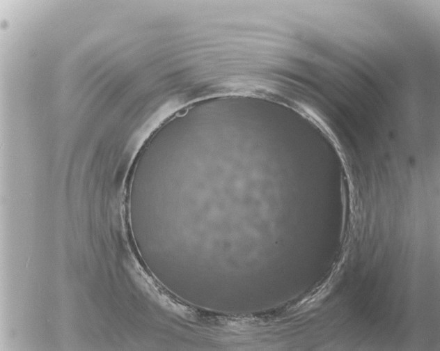 X0000056000899200508261747