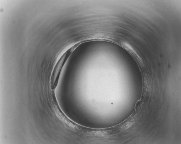 X0000056000900200508261747