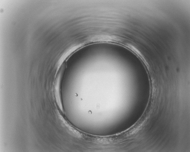 X0000056000901200508261747