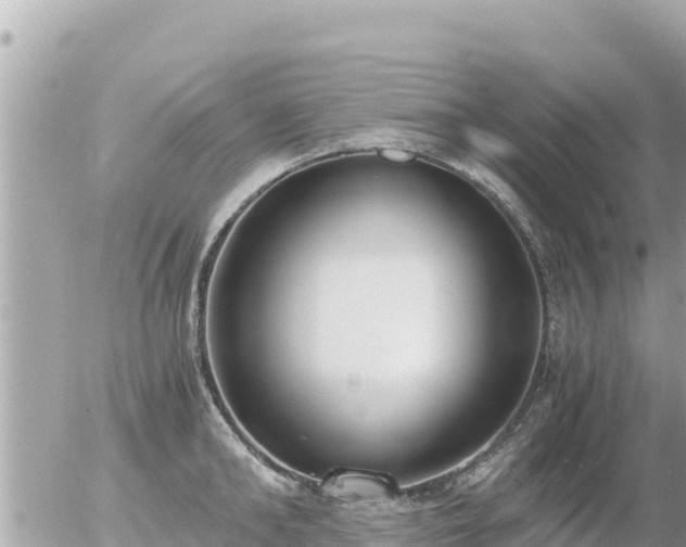 X0000056000902200508261747