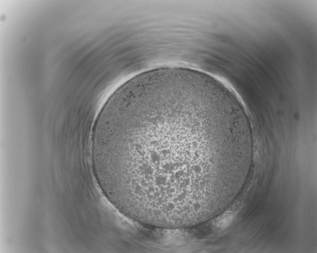 X0000056000903200508261747