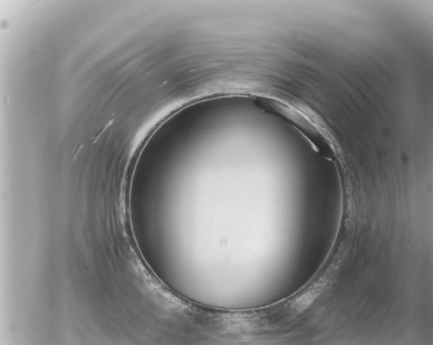 X0000056000904200508261746