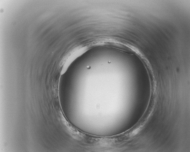 X0000056000905200508261746