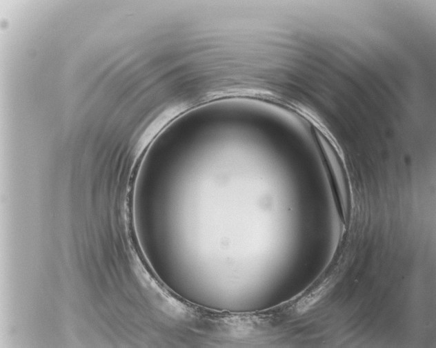 X0000056000906200508261746