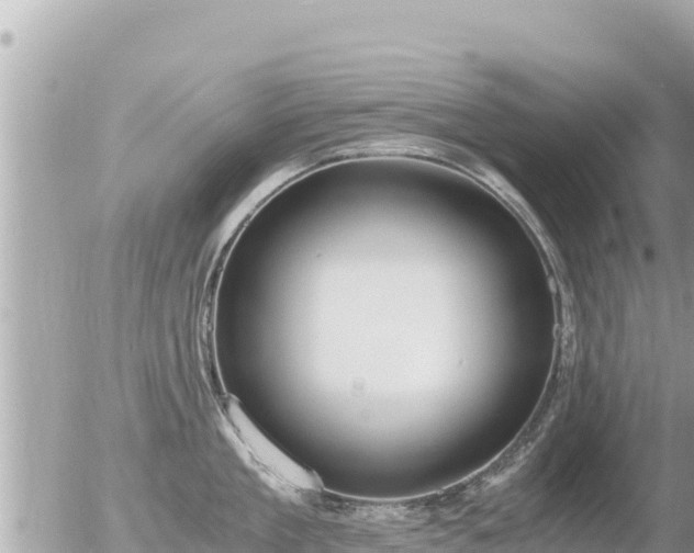 X0000056000909200508261746