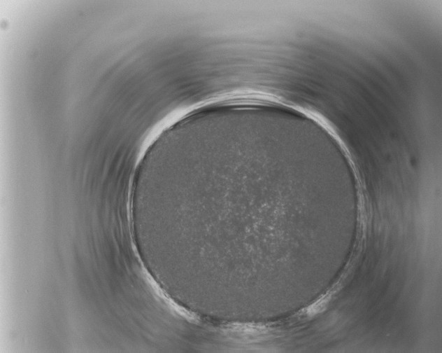 X0000056000910200508261746