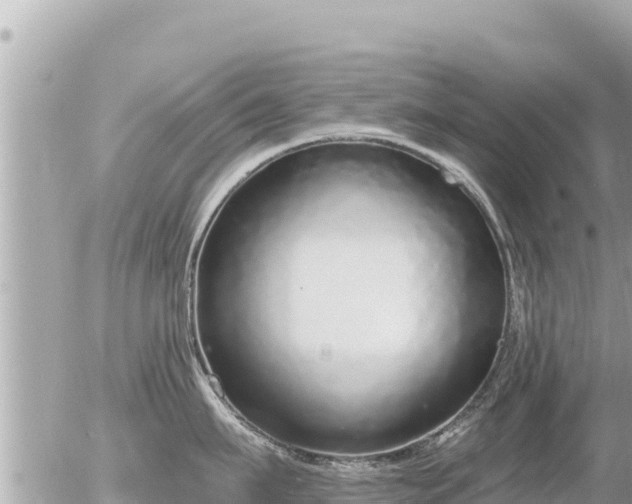 X0000056000911200508261746