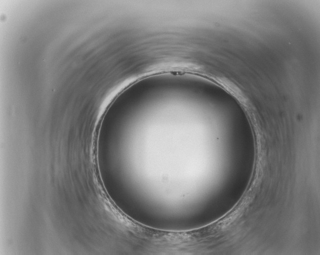 X0000056000912200508261746