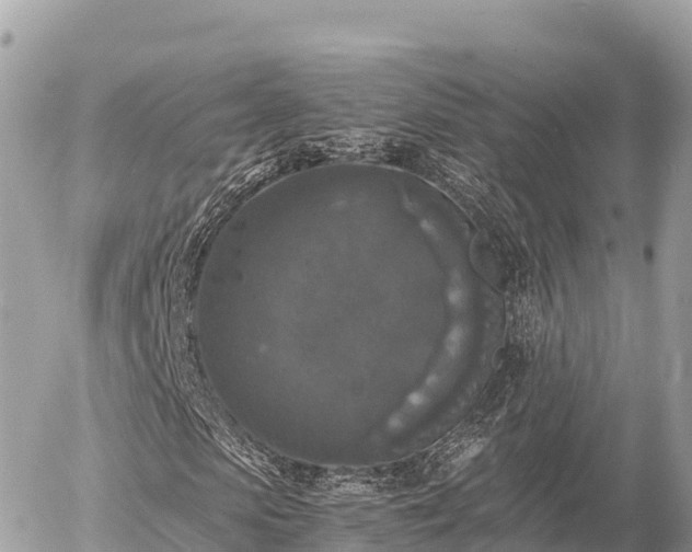 X0000056000913200508261746