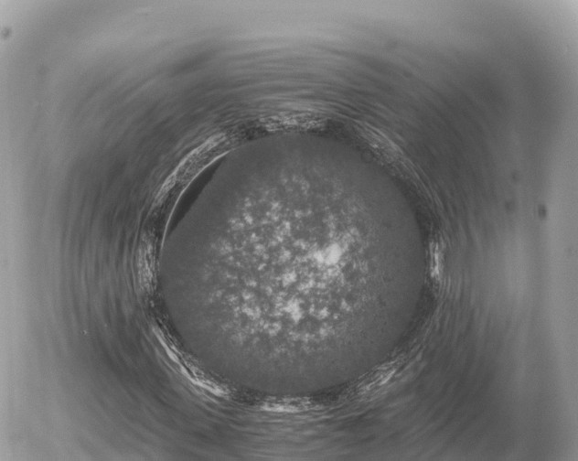 X0000056000915200508261746