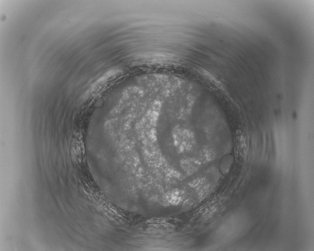 X0000056000918200508261746