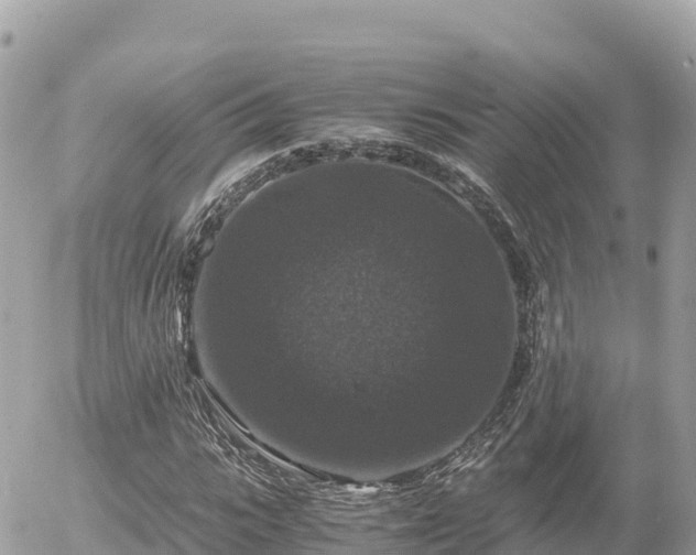 X0000056000919200508261746