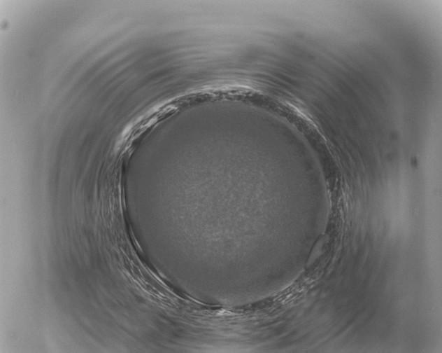 X0000056000920200508261746