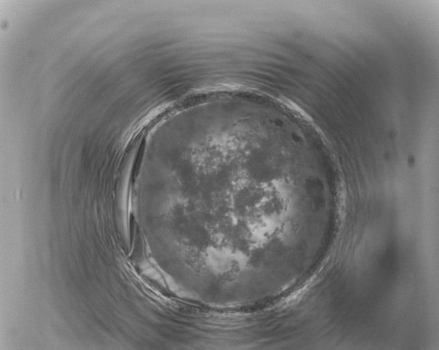 X0000056000921200508261746