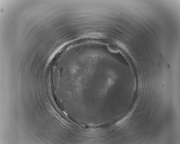 X0000056000923200508261746