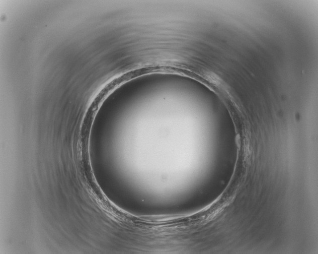 X0000056000924200508261746