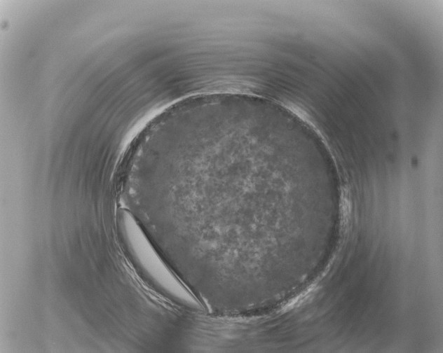 X0000056000925200508261746