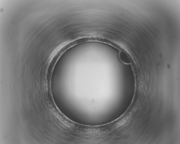 X0000056000927200508261746