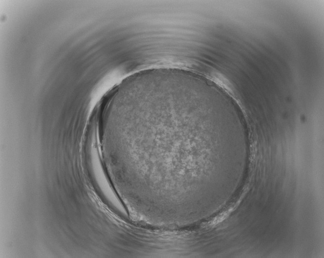 X0000056000928200508261746