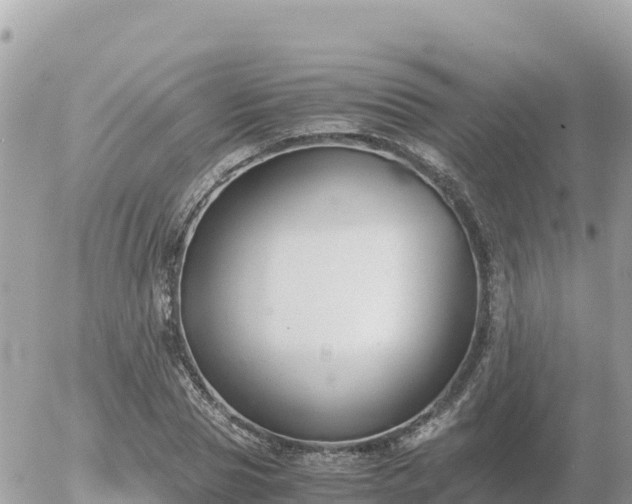 X0000056000929200508261746