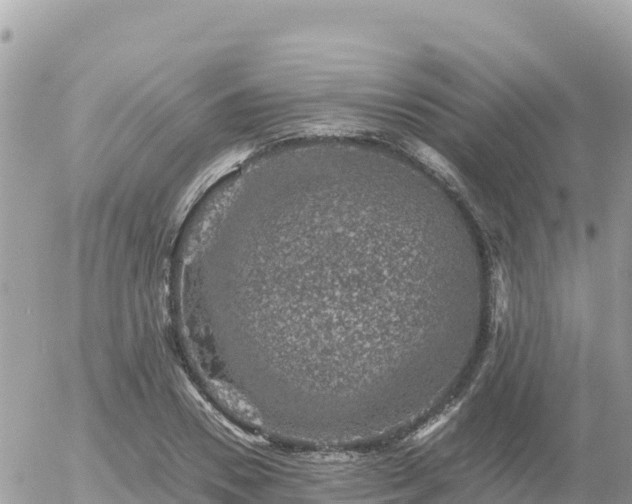 X0000056000930200508261746