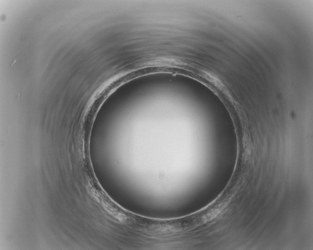 X0000056000931200508261746