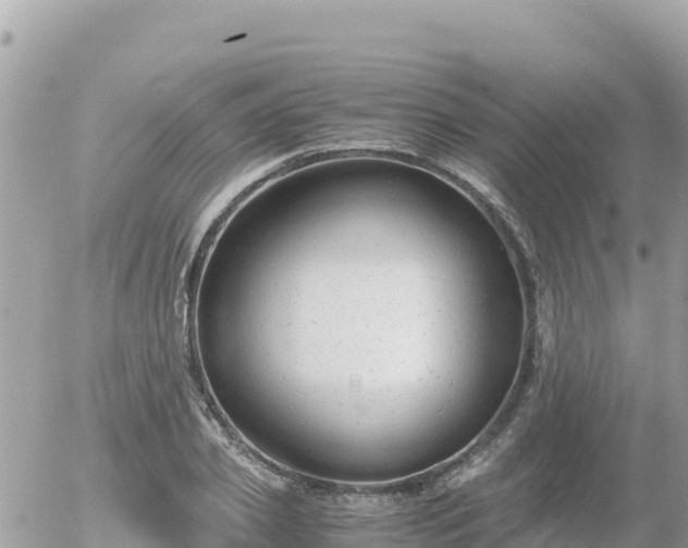 X0000056000933200508261746