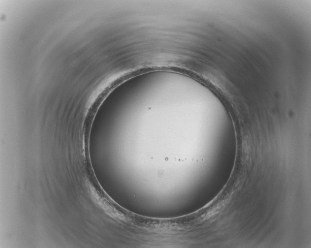 X0000056000934200508261746