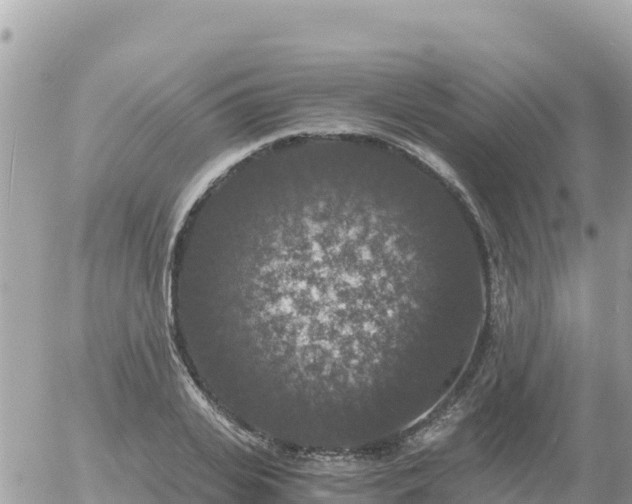 X0000056000935200508261746