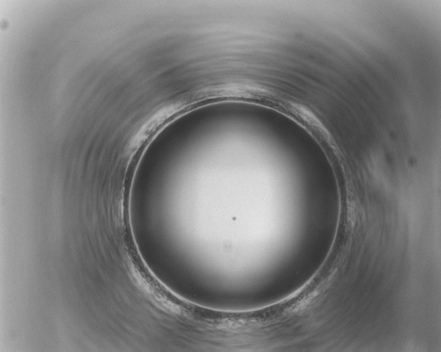 X0000056000938200508261746