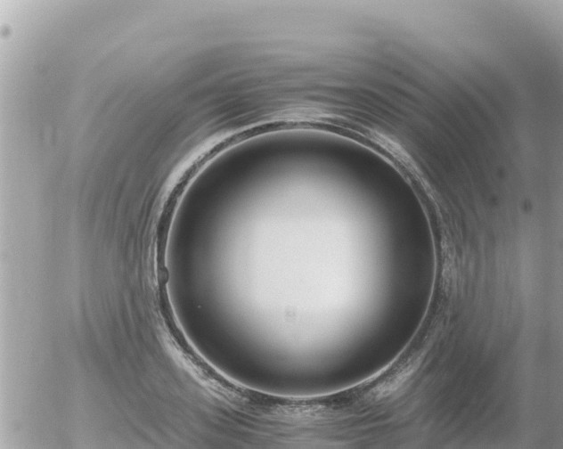 X0000056000939200508261746