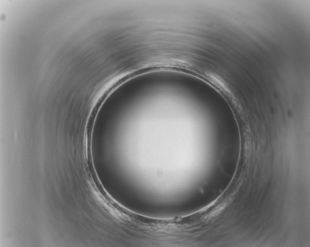 X0000056000940200508261746