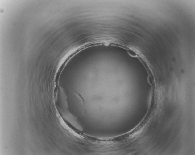 X0000056000941200508261746