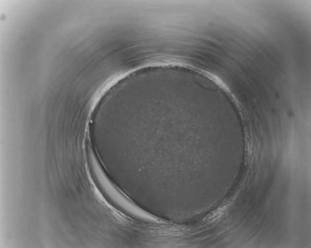 X0000056000943200508261746