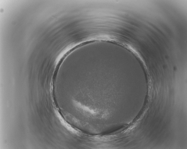 X0000056000944200508261746