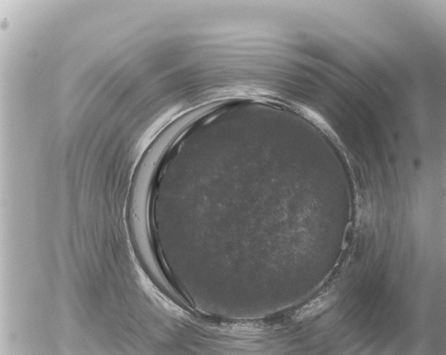 X0000056000946200508261746