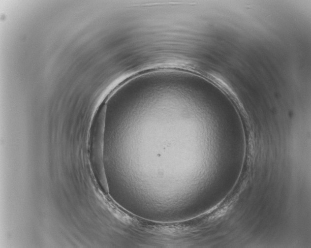 X0000056000948200508261746