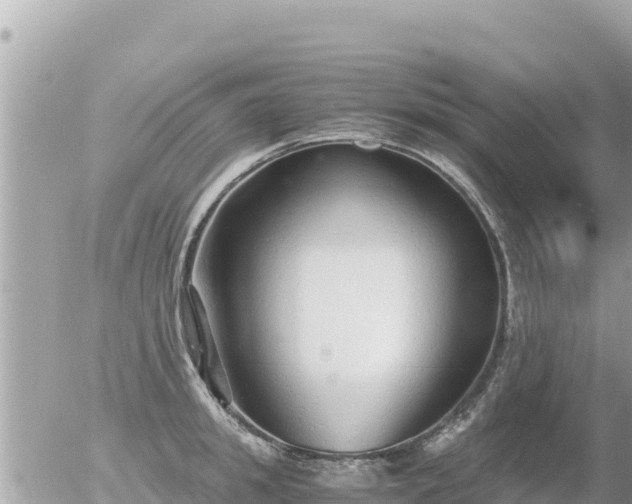 X0000056000949200508261746