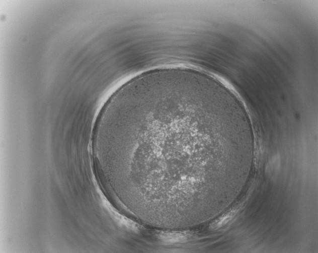 X0000056000951200508261746